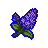 Night flower