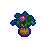 Rhododendron Seedling
